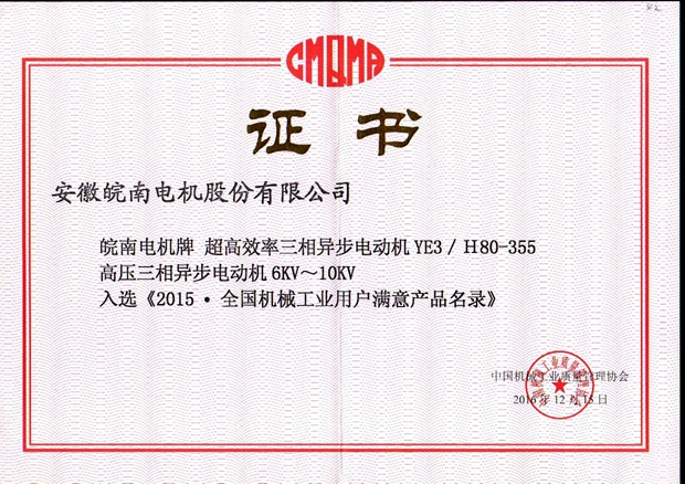 2015全国用户满意产品（YE3mk体育-mk体育官方网站-mksports和高压电机）