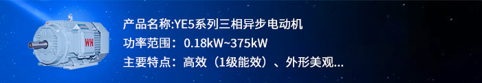 YE5系列超mk体育-mk体育官方网站-mksports